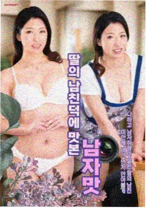 风起临安古装剧集封面